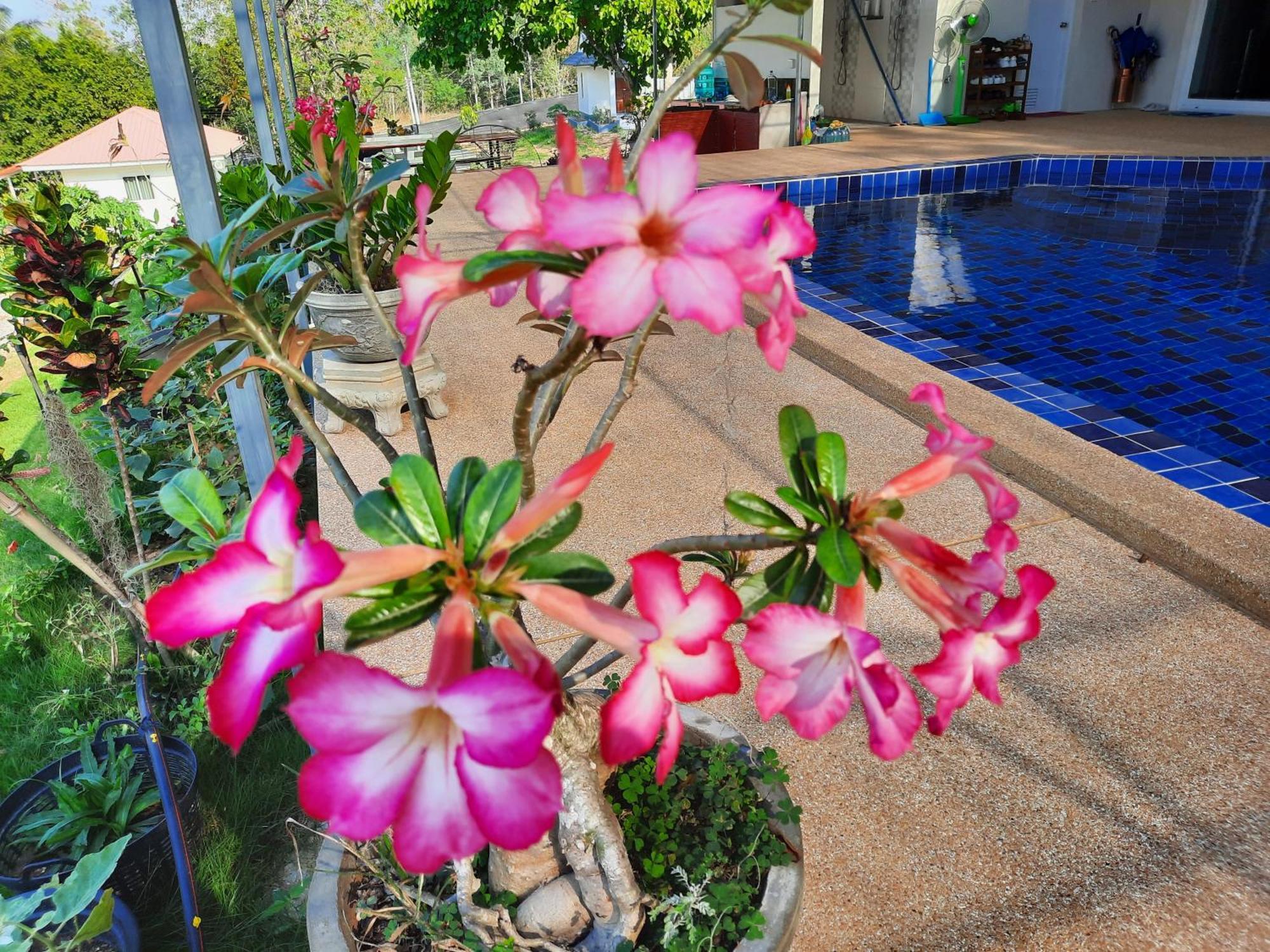 Lemax Homestay And Thailand Tours Phetchaburi Exterior photo
